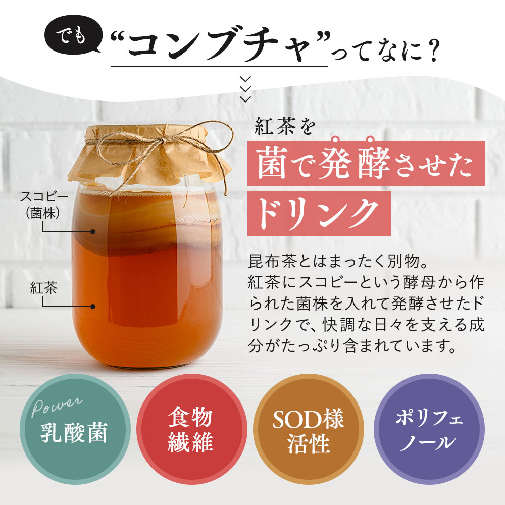 【初回特別価格】仙台勝山館 発酵紅茶 KOMBUCHA 4g×30本