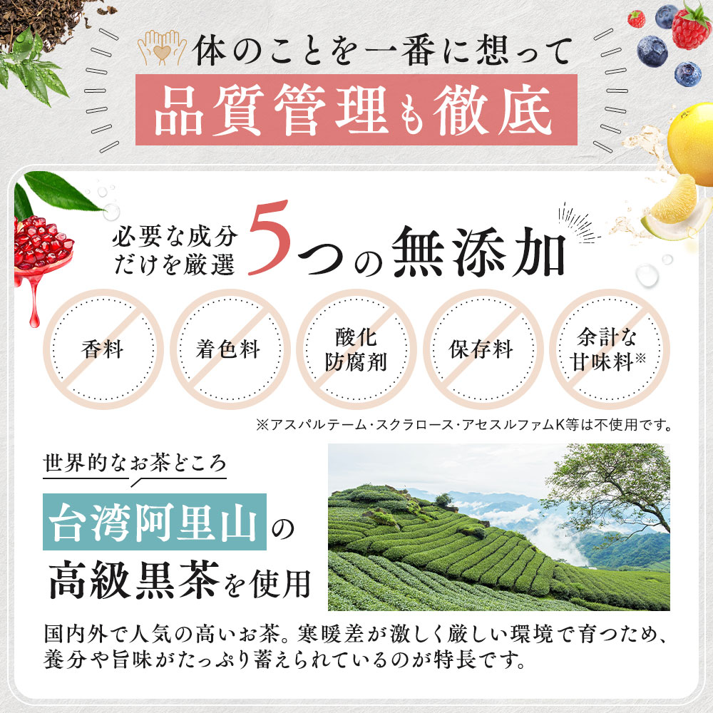 【初回特別価格】仙台勝山館 発酵紅茶 KOMBUCHA 4g×30本