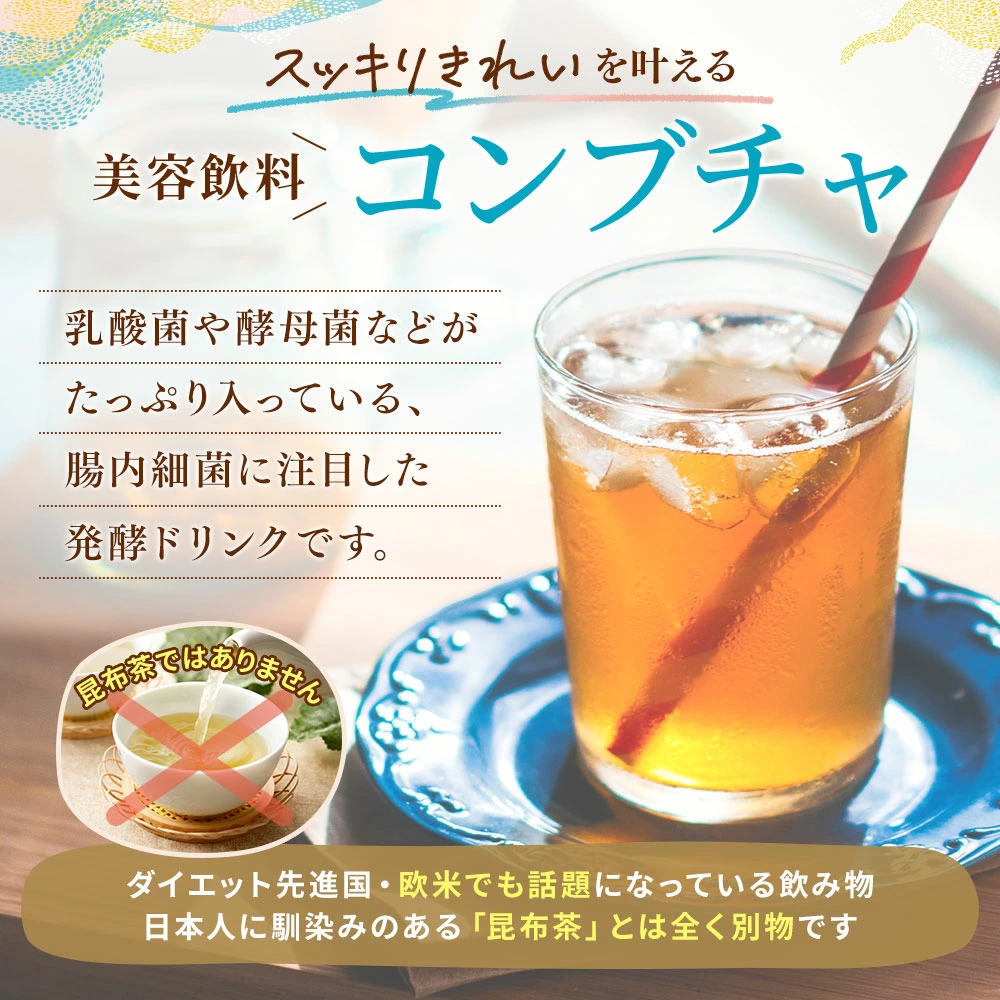 【初回特別価格】仙台勝山館 発酵紅茶 KOMBUCHA 4g×12本