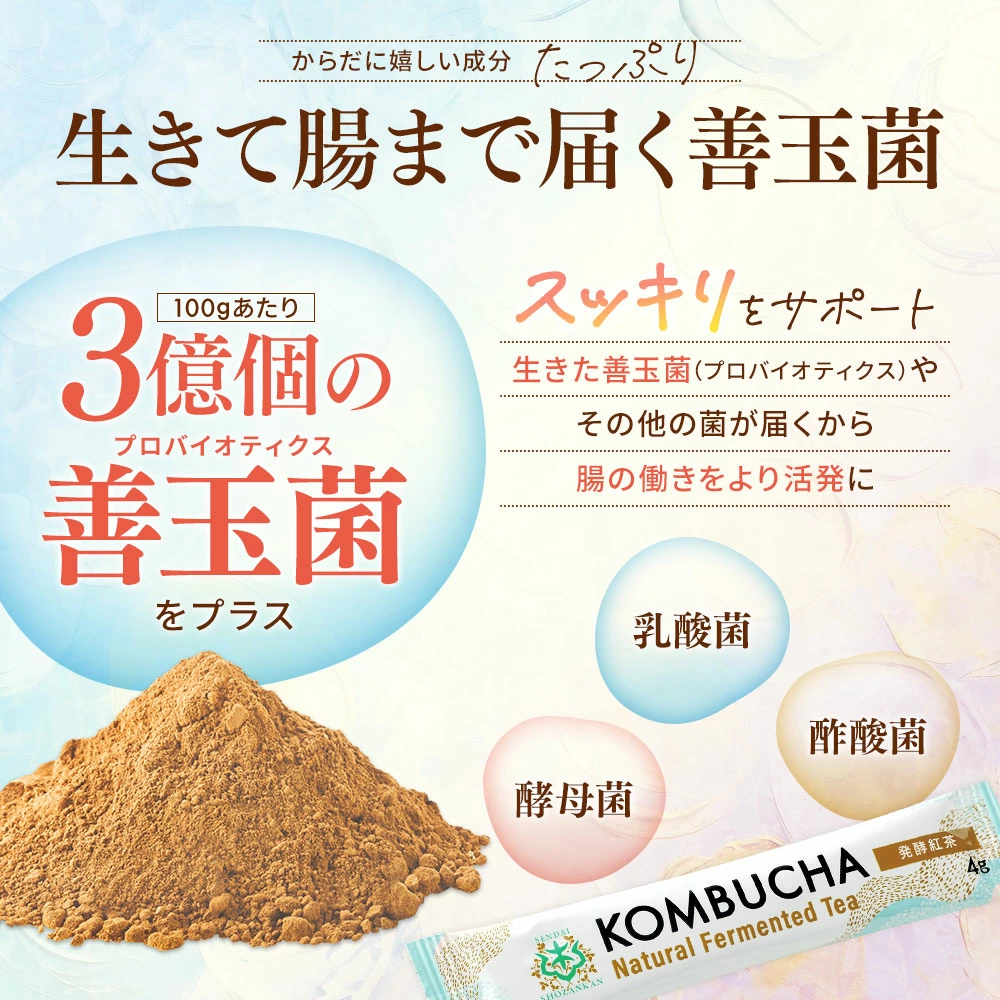 【初回特別価格】仙台勝山館 発酵紅茶 KOMBUCHA 4g×12本