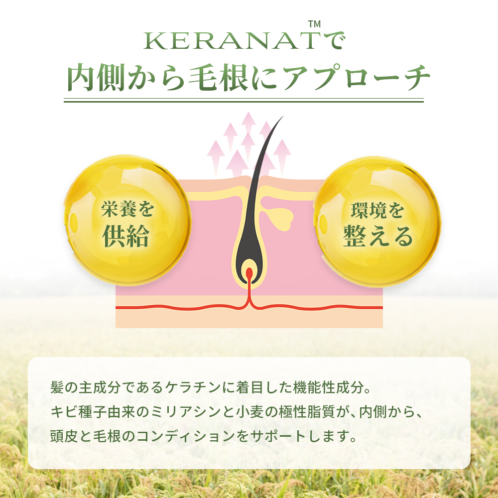 ヘアパーフェクターウィズ ケラナット（TM）30日分※日本郵便(ゆうパック)配送