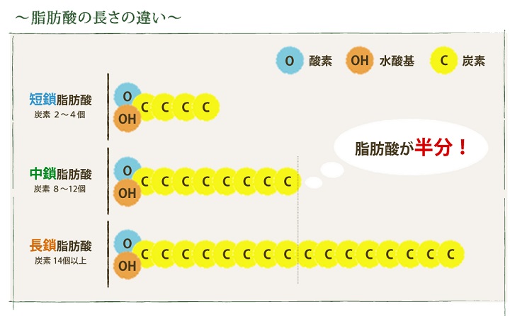 多価不飽和脂肪酸のｾﾐﾅｰを受講しました Karen Holistic Health