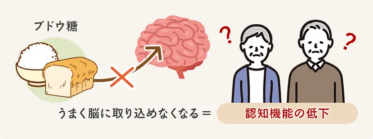 ブドウ糖がうまく脳に取り込めなくなる=認知機能の低下