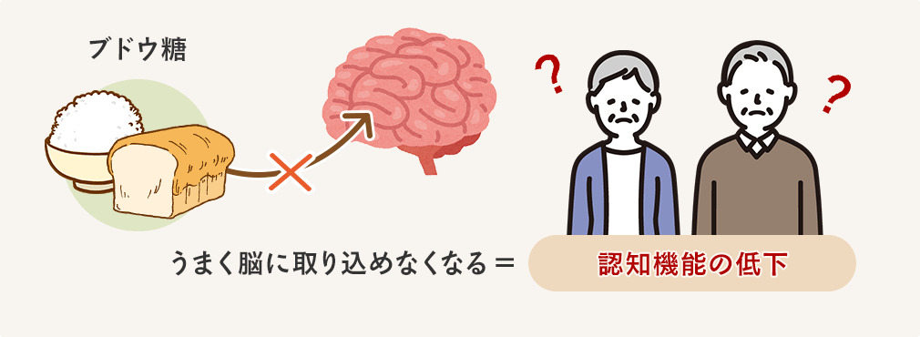 ブドウ糖がうまく脳に取り込めなくなる＝認知機能の低下
