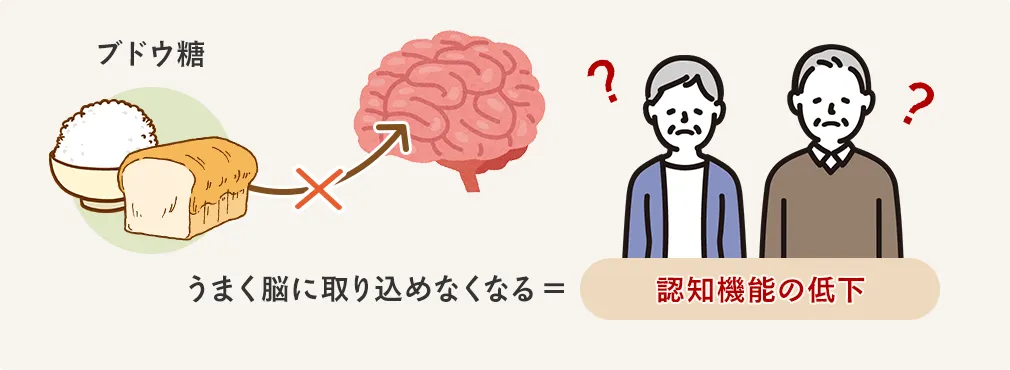 ブドウ糖がうまく脳に取り込めなくなる=認知機能の低下