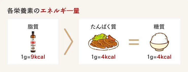 各栄養素のエネルギ―量は、脂質1g=9kcal、たんぱく質や糖質は1g=4kcal。同じ量でも脂質の方が約2倍のエネルギーを摂取することができる。