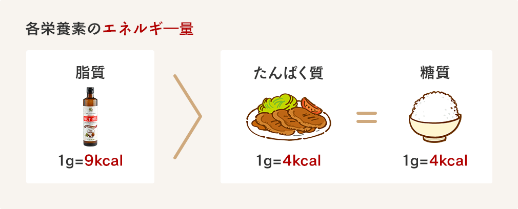 各栄養素のエネルギ―量は、脂質1g=9kcal、たんぱく質や糖質は1g=4kcal。同じ量でも脂質の方が約2倍のエネルギーを摂取することができる。