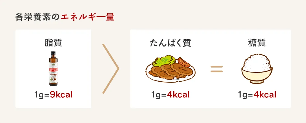 各栄養素のエネルギ―量は、脂質1g=9kcal、たんぱく質や糖質は1g=4kcal。同じ量でも脂質の方が約2倍のエネルギーを摂取することができる。