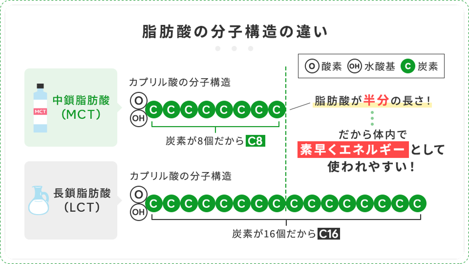 脂肪酸の分子構造の違い