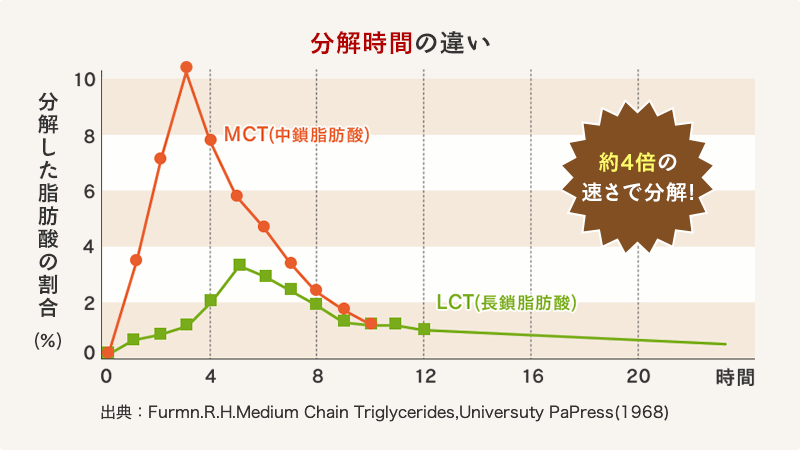 分解時間の違い。MCTはLCTの約4倍の速さで分解されます。