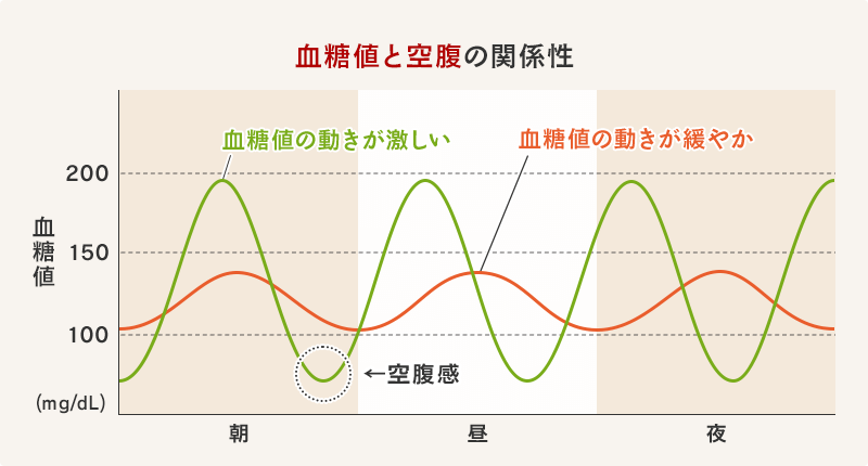血糖値と空腹の関係性。上昇した血糖値が急激に下がるときに人は空腹を感じます。