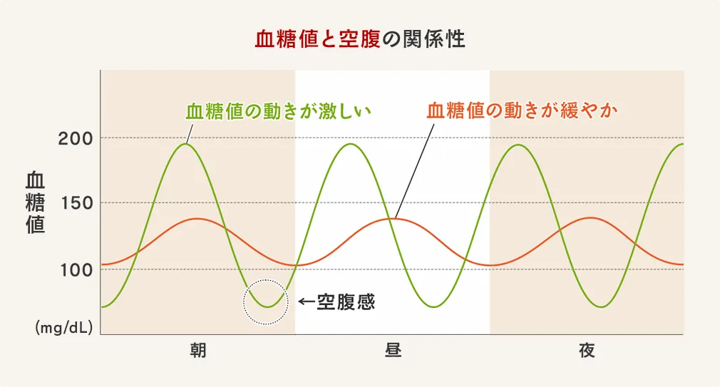 血糖値と空腹の関係性。上昇した血糖値が急激に下がるときに人は空腹を感じます。