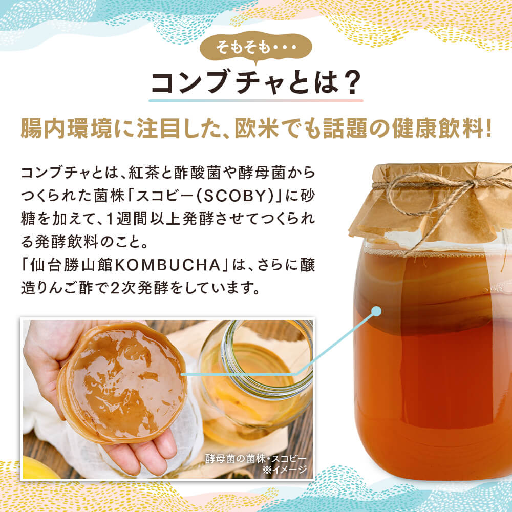 コンブチャとは、腸内環境に注目した、欧米でも話題の健康飲料