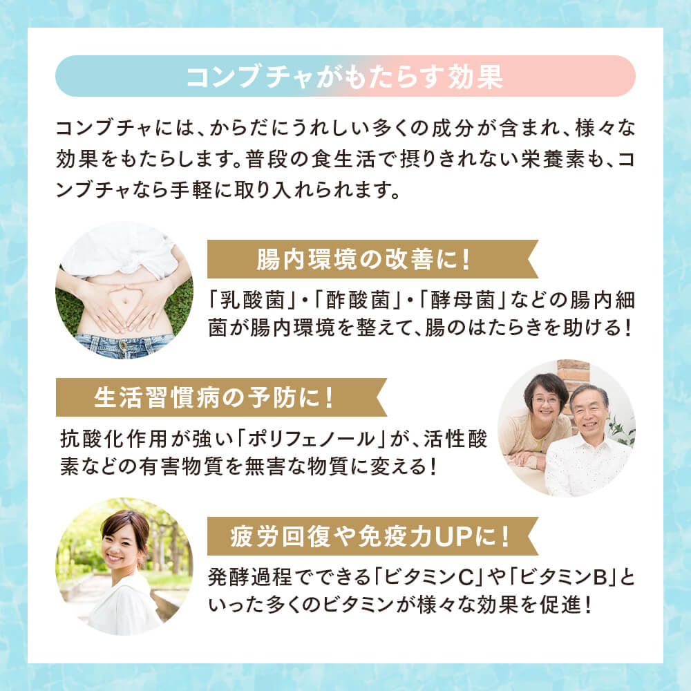 コンブチャがもたらす効果。腸内環境の改善に。生活習慣病予防に。疲労回復や免疫力アップに