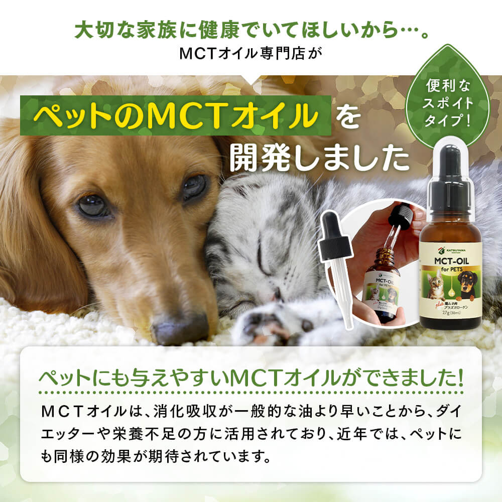 MCTオイル専門店がペットのMCTオイルを開発しました