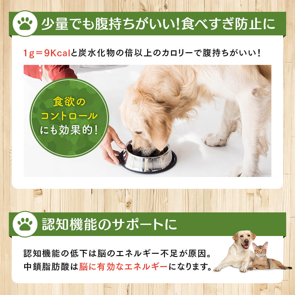 少量でも腹持ちがいい！食べ過ぎ防止に認知機能のサポートに