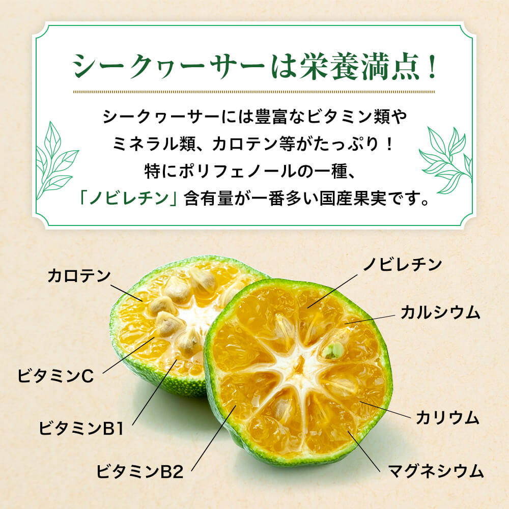 シークヮーサーは栄養満点。ノビレチンの含有量が1番多いのが特徴
