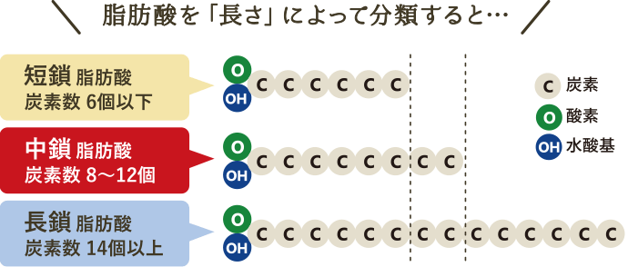 脂肪酸を「長さ」によって分類