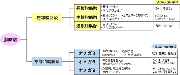 油の種類とその代表的食材