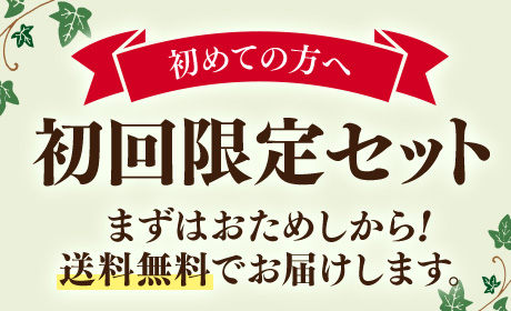 初回限定お試しセット