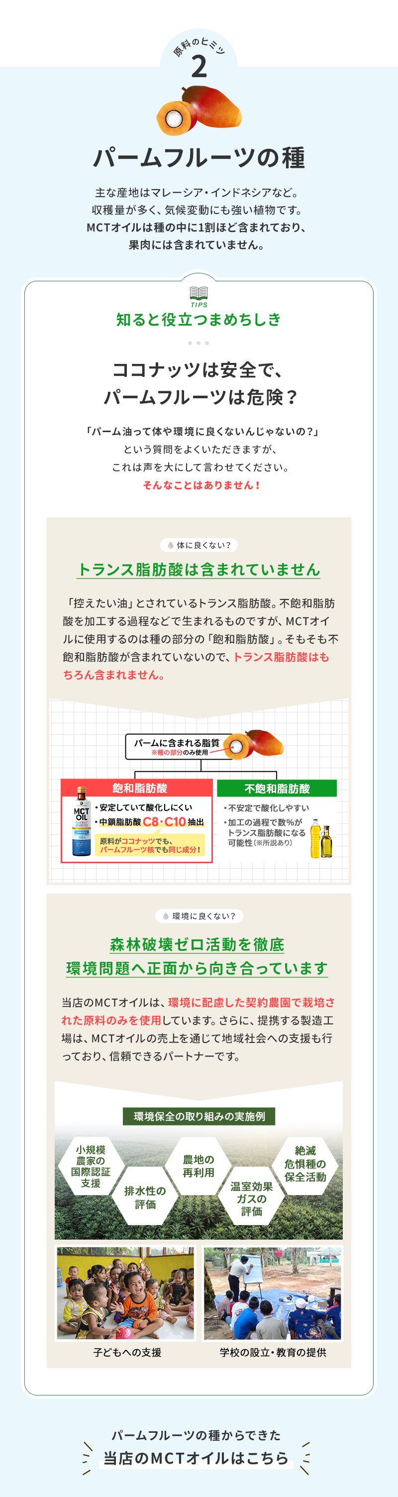 原料の秘密：パームフルーツ