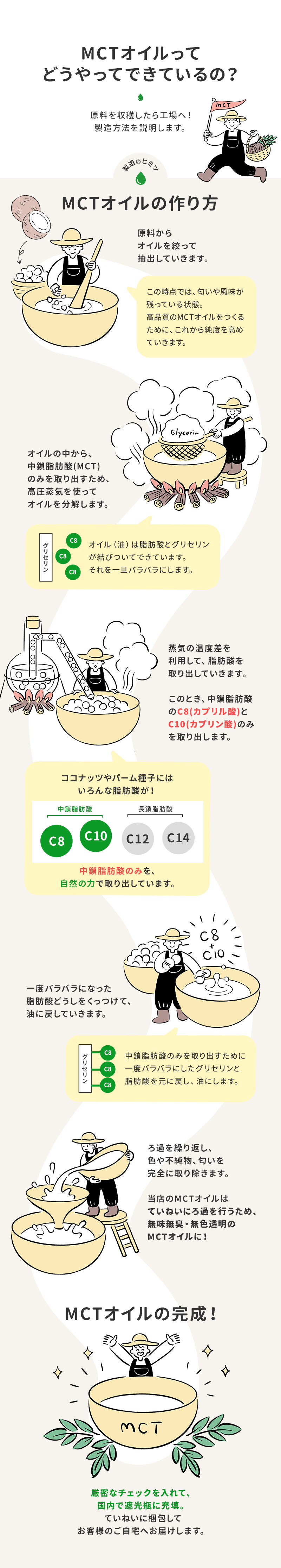脂肪酸の特徴