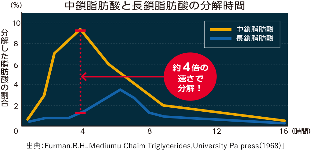 MCTオイルの消化吸収のピーク